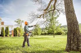 Best Commercial Tree Services  in Windermere, FL